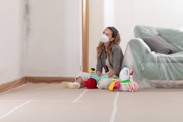 Reliable Mold Inspection contractor in Ellsworth, MI by WQB Mold Removal